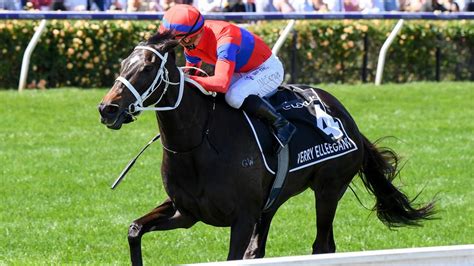 very elegant died|Melbourne Cup hero Verry Elleegant dies due to .